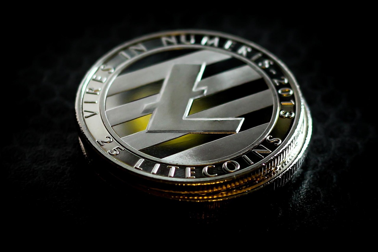 美国世界粮食计划署WFP宣布：接受BTC、ETH、USDC、DOGE、BONK等80种加密货币捐赠
